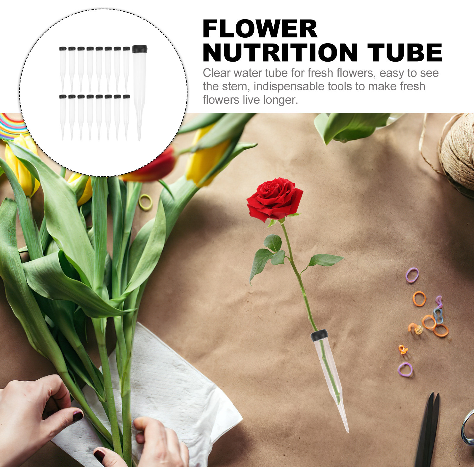 50Pcs Fresh Flower Nutrition T - đánh giá và giá Nutrition & Fitness Coaching Fulham