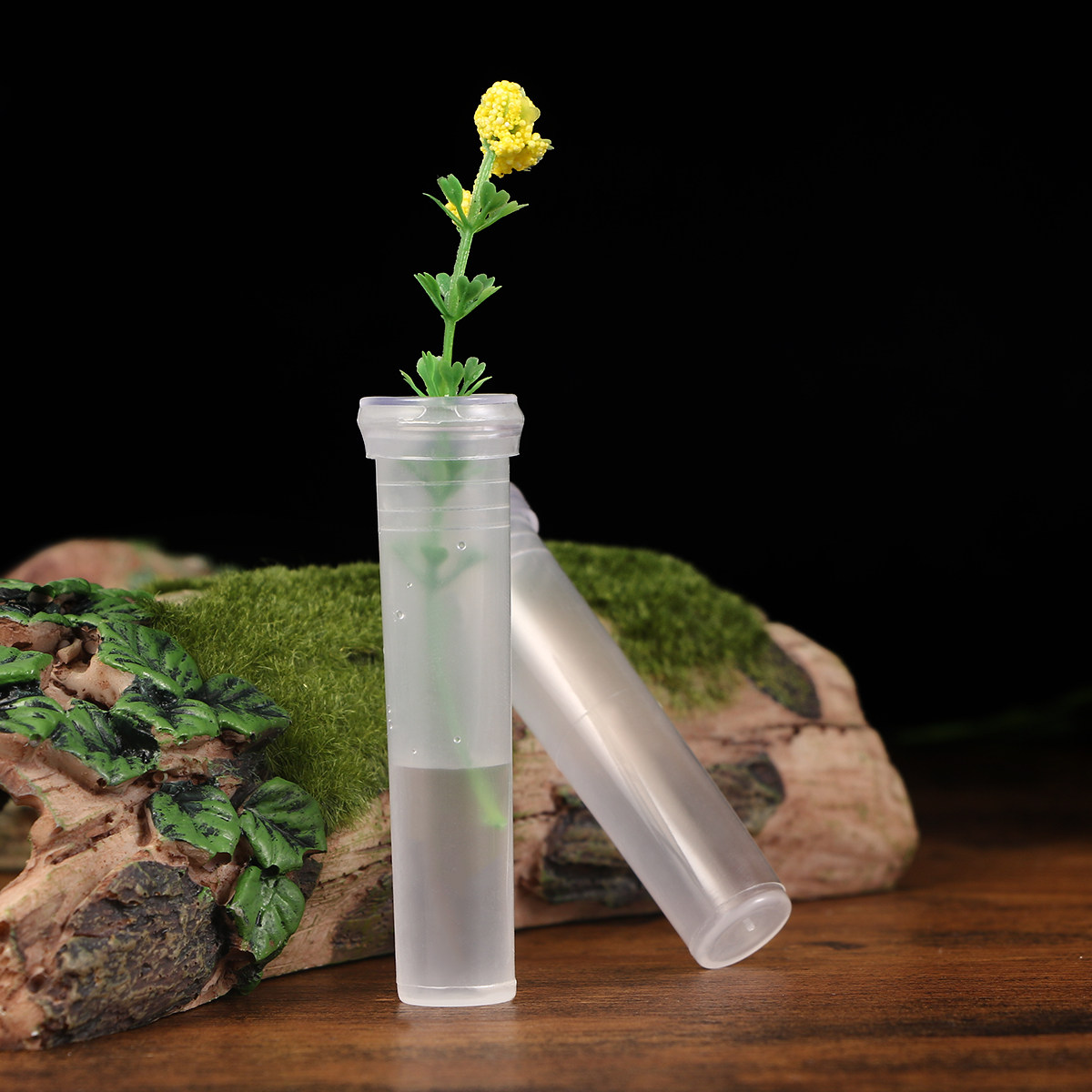 50Pcs Premium Plastic Flower N - đánh giá và giá Nutrition & Fitness Coaching Fulham