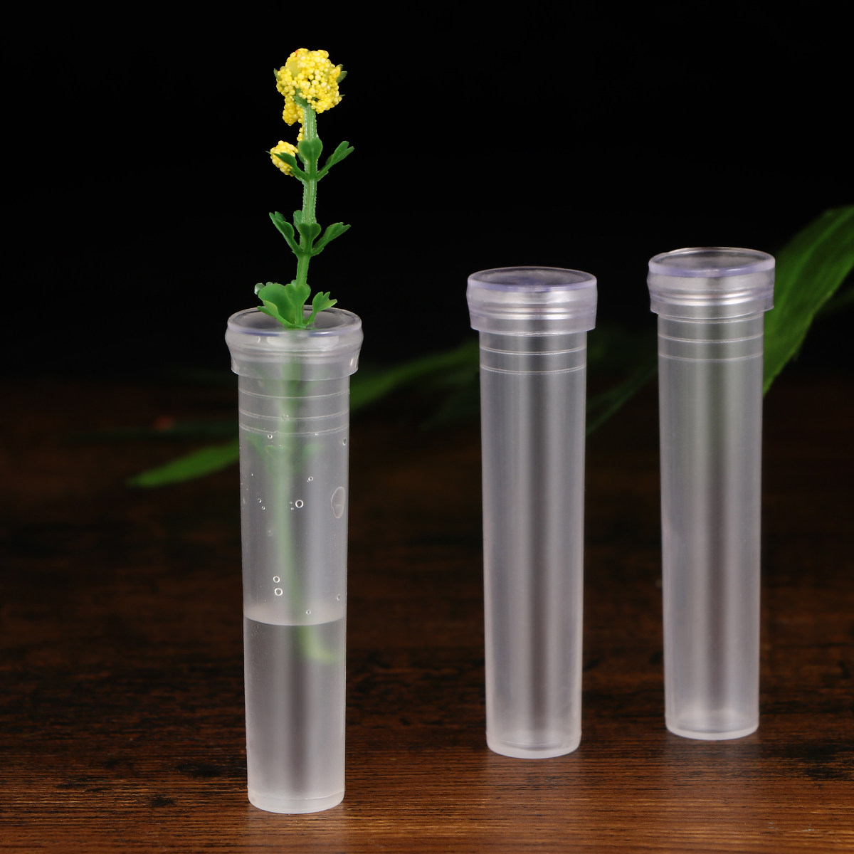 50Pcs Premium Plastic Flower N - đánh giá và giá Nutrition & Fitness Coaching Fulham