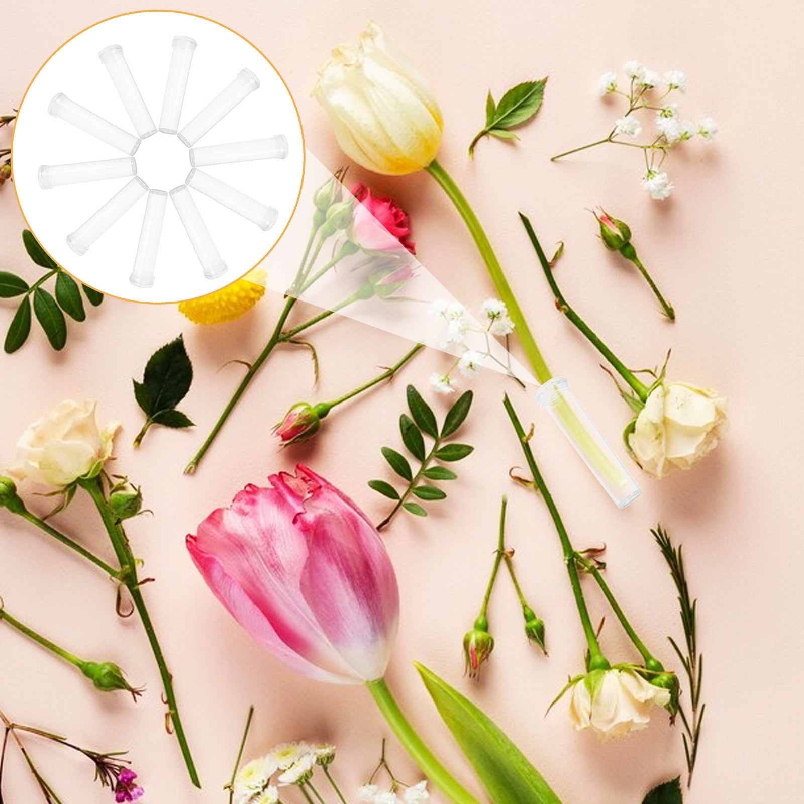 200Pcs Flower Water Tubes Tran - đánh giá và giá Nutrition & Fitness Coaching Fulham