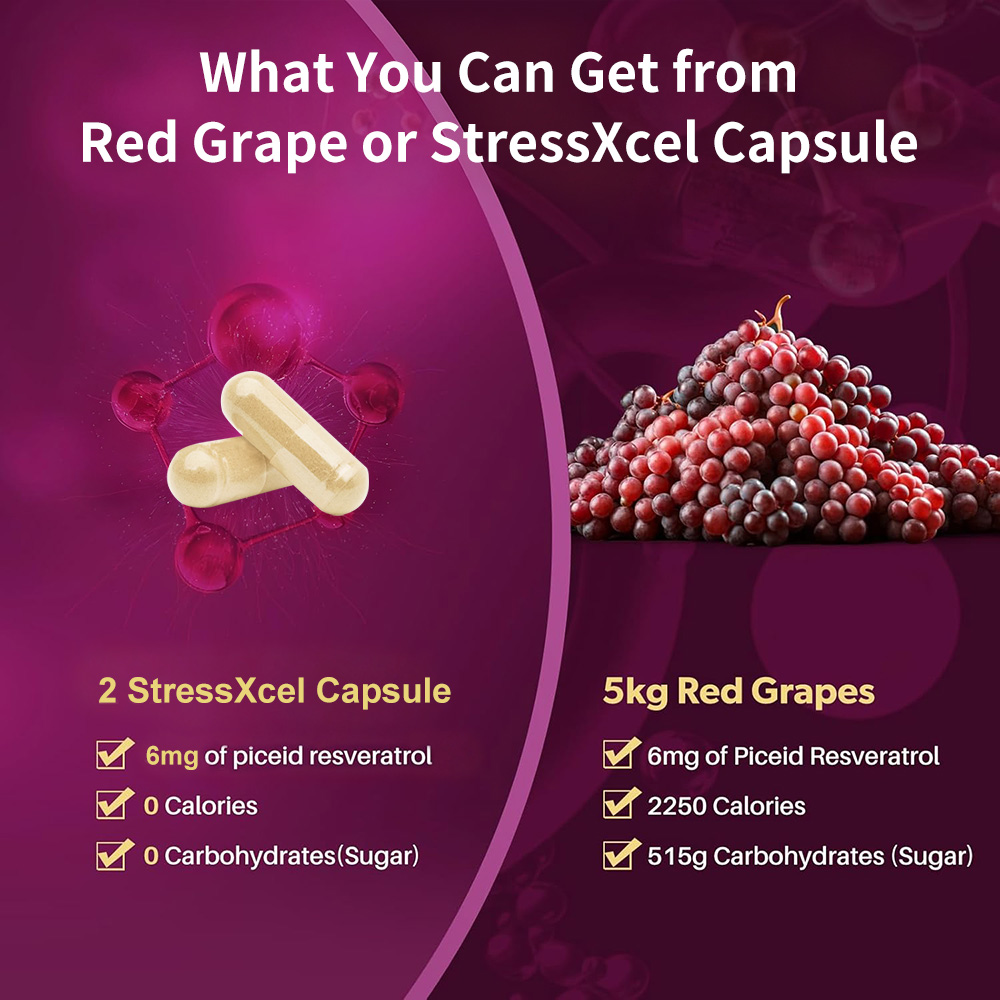 High Potency Resveratrol Suppl - đánh giá và giá Resveratrol Capsule Anti Aging