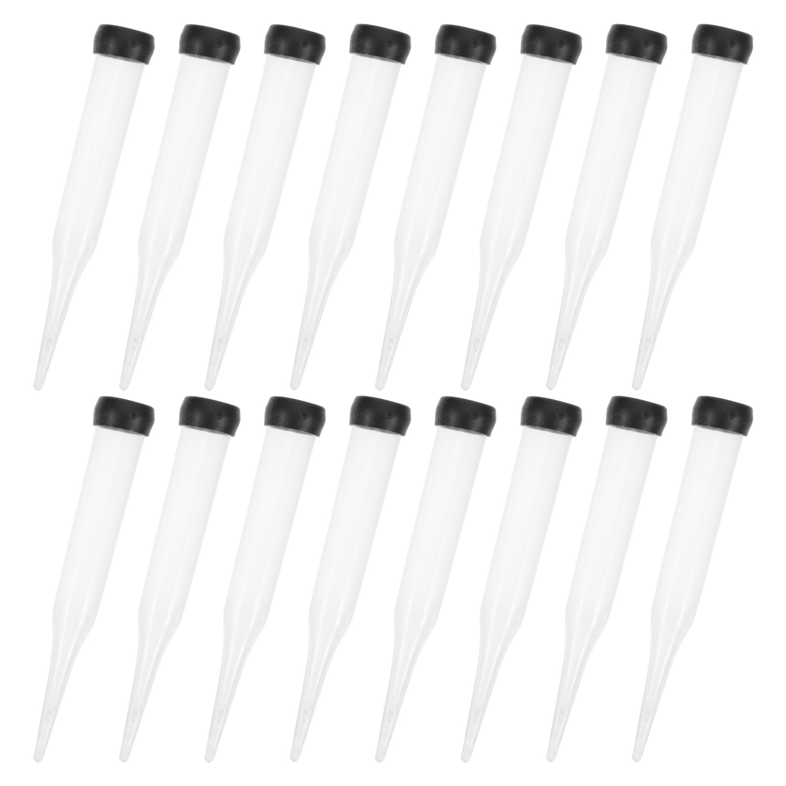50Pcs Flower Stem Water Tubes  - đánh giá và giá Nutrition & Fitness Coaching Fulham