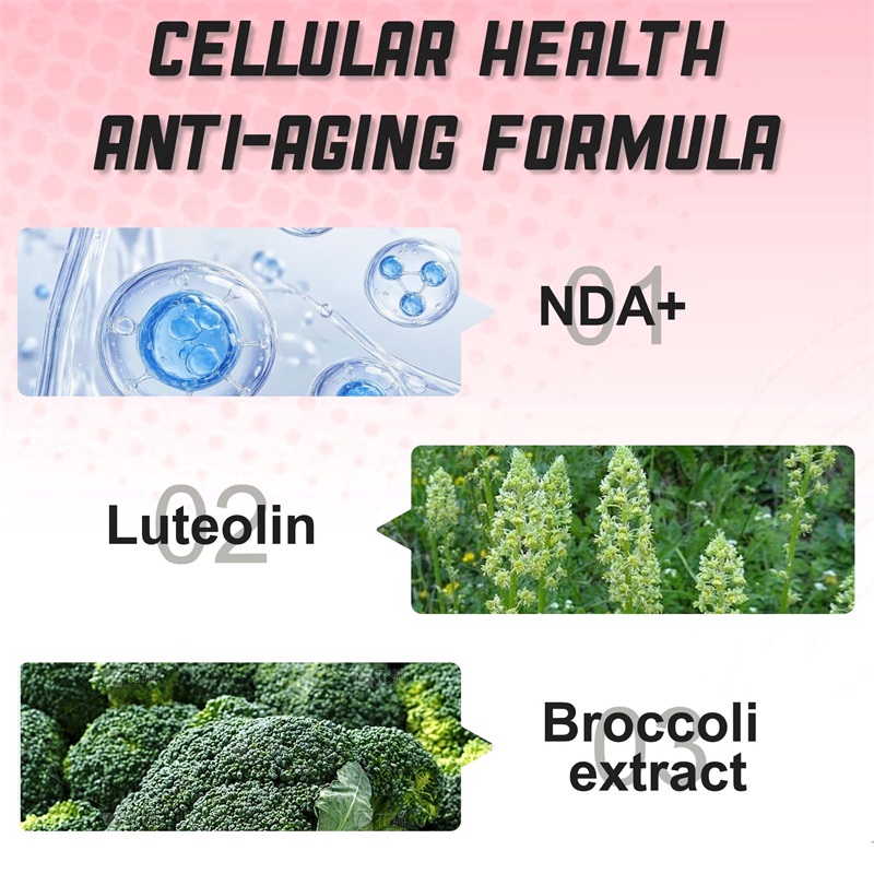 NAD + Resveratrol - Anti-aging - đánh giá và giá Resveratrol Capsule Anti Aging