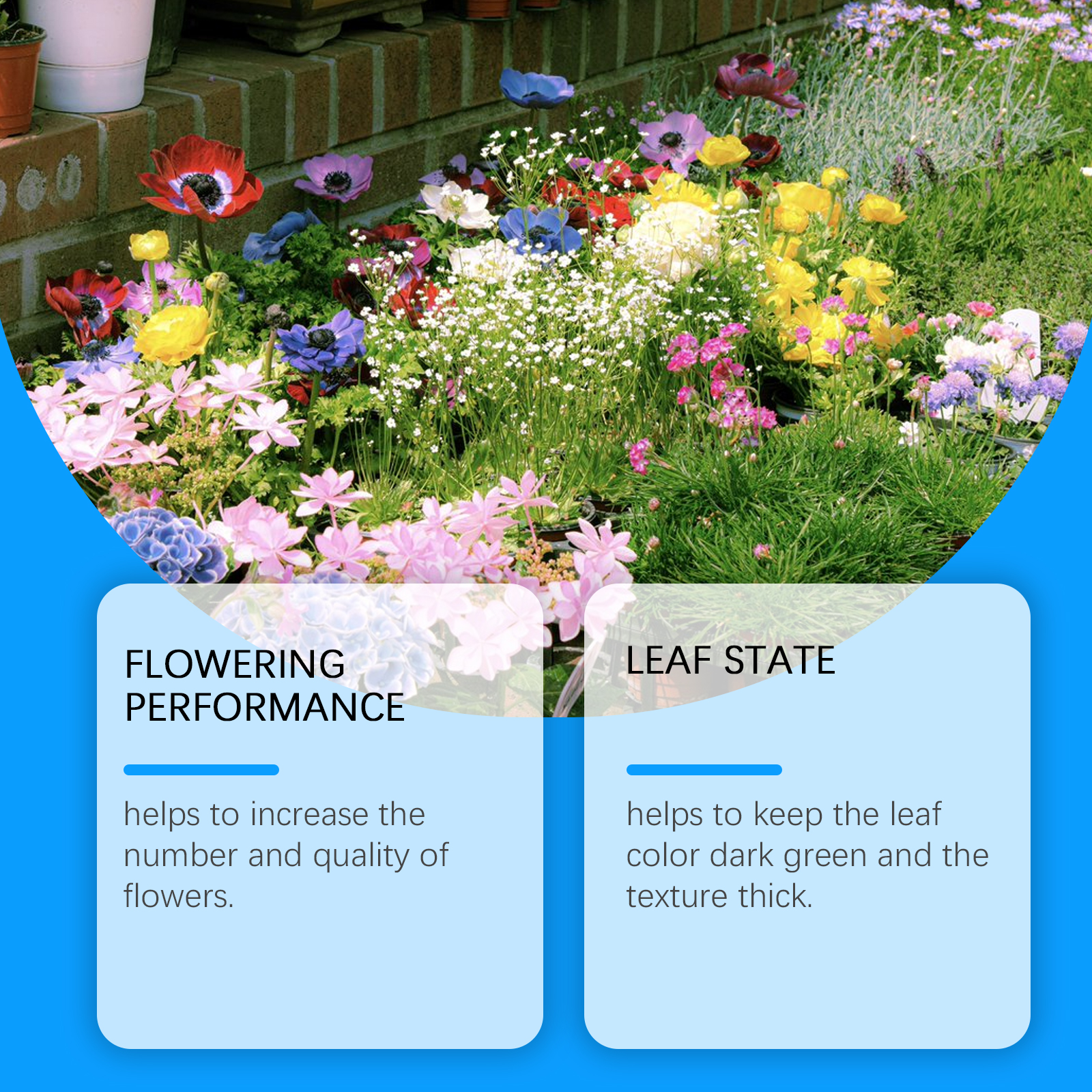 Flower Nutrient Solution Liqui - đánh giá và giá Nutrition & Fitness Coaching Fulham