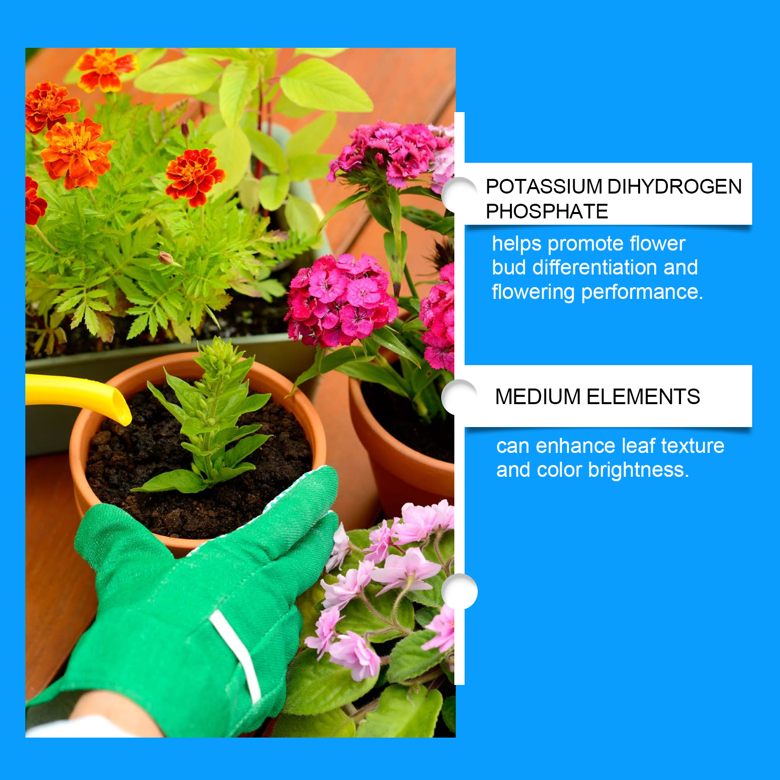 Flower Nutrient Solution Liqui - đánh giá và giá Nutrition & Fitness Coaching Fulham